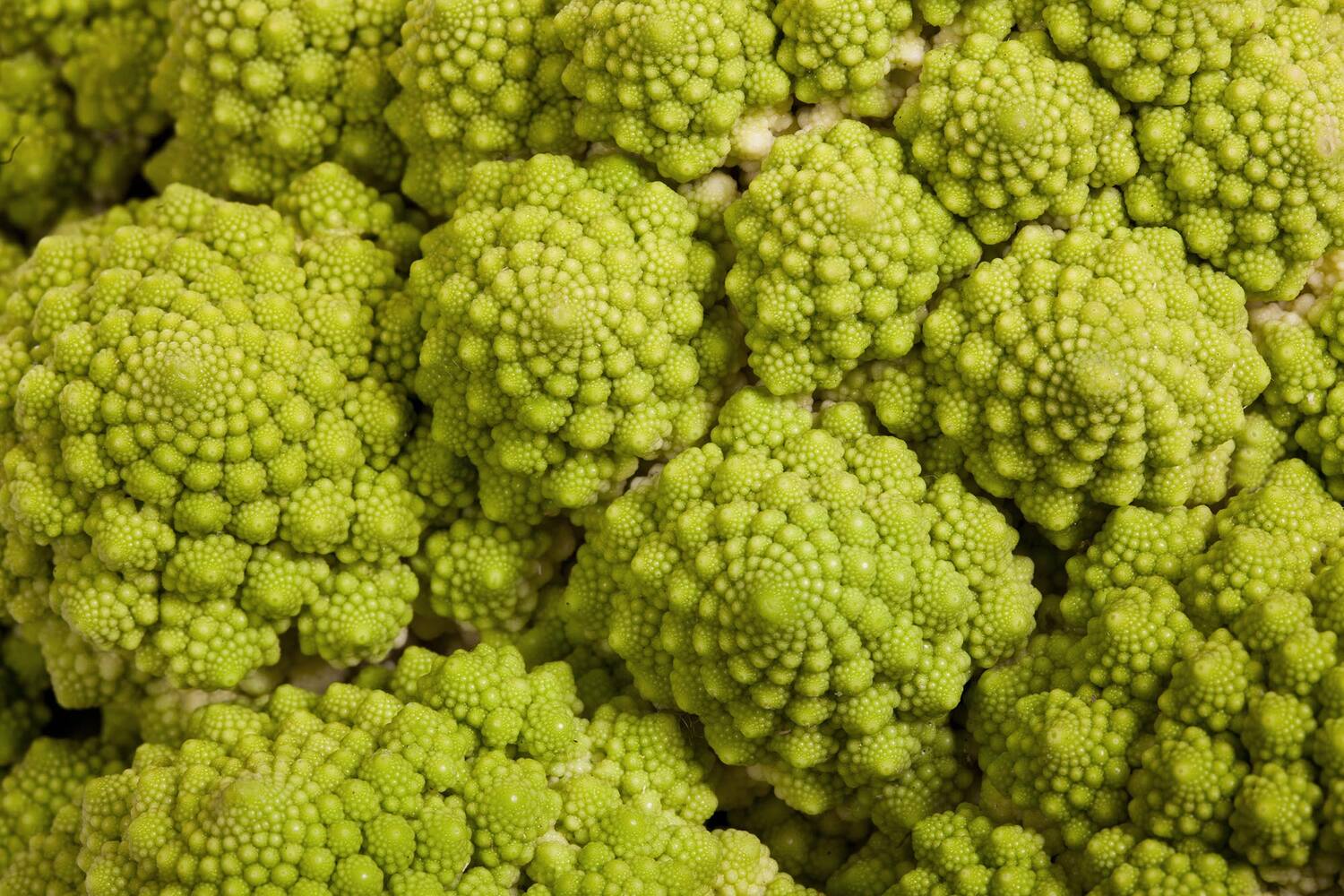 Chou-fleur romanesco pièce